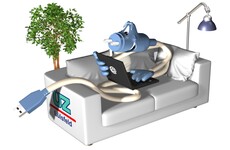 Couchsurfer