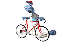 Radfahrer